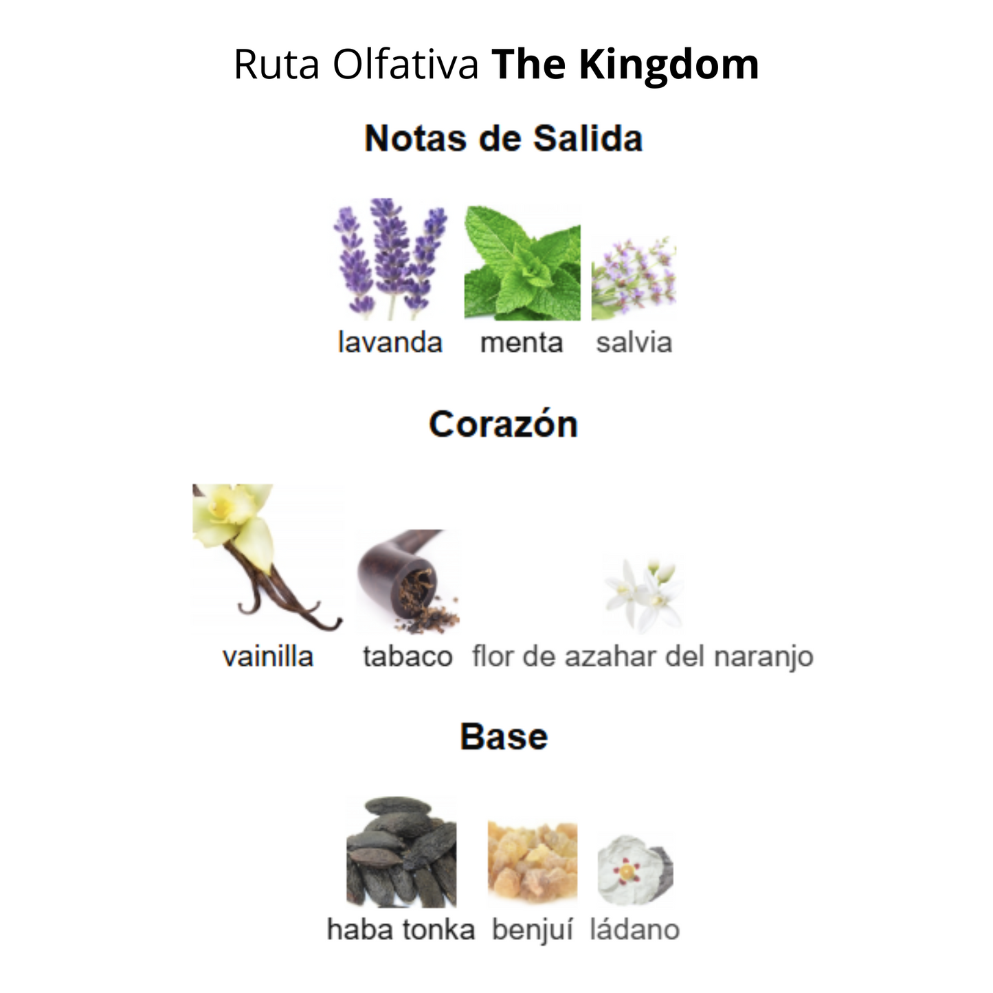 The Kingdom 100 ml