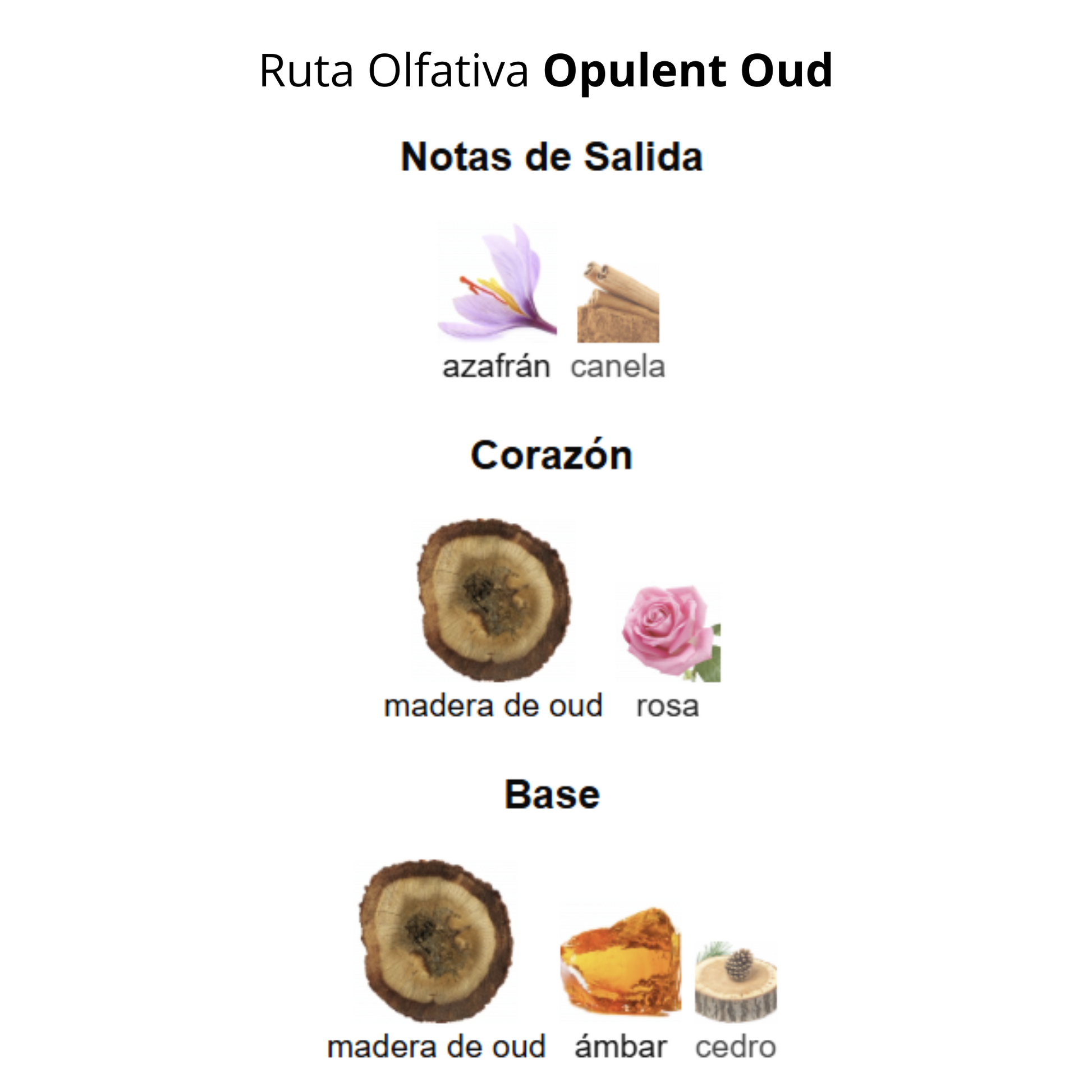 Opulent Oud 100 ml