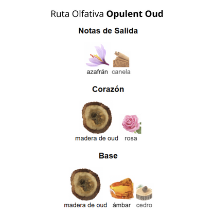 Opulent Oud 100 ml