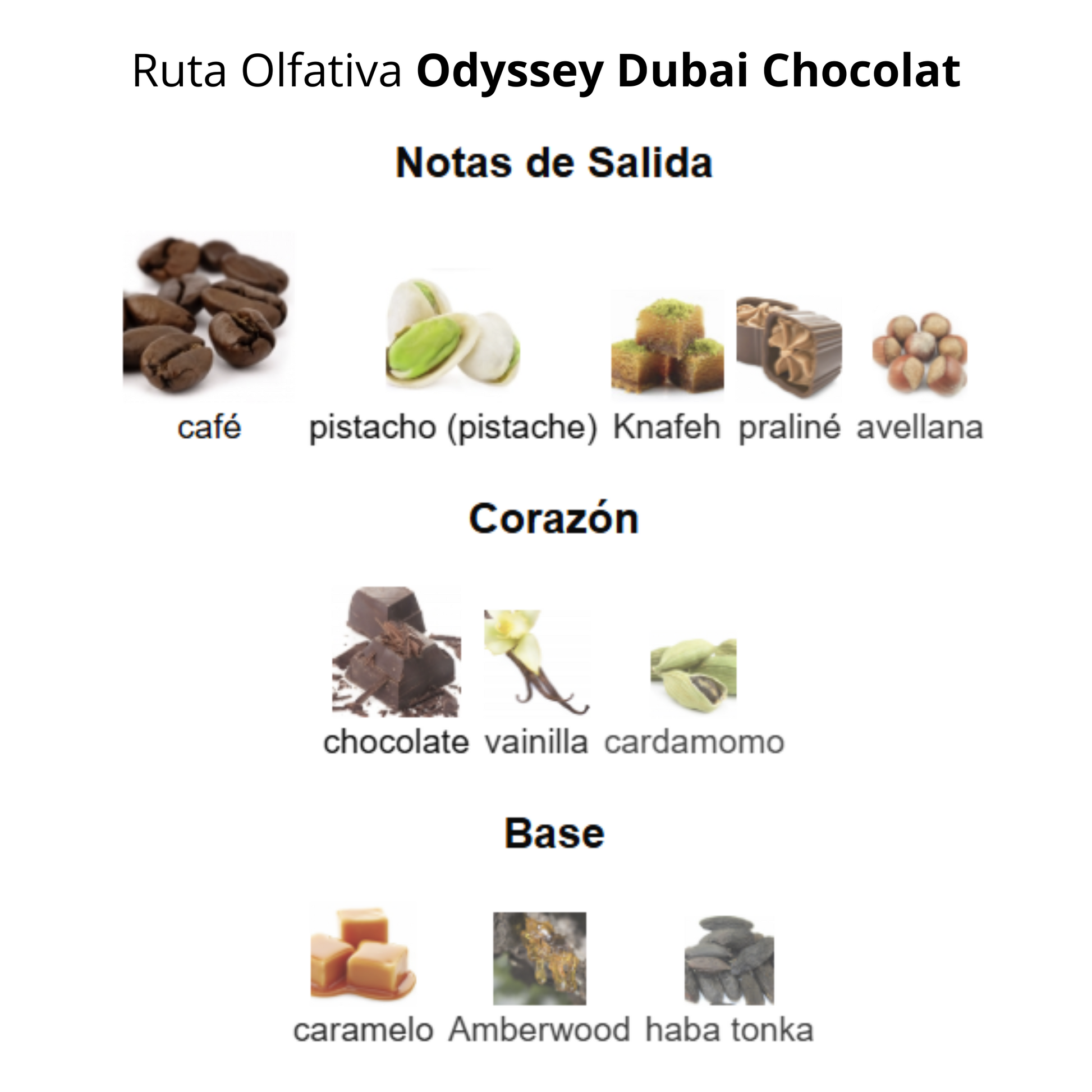 Odyssey Dubai Chocolat Gourmand Edition 100 ml