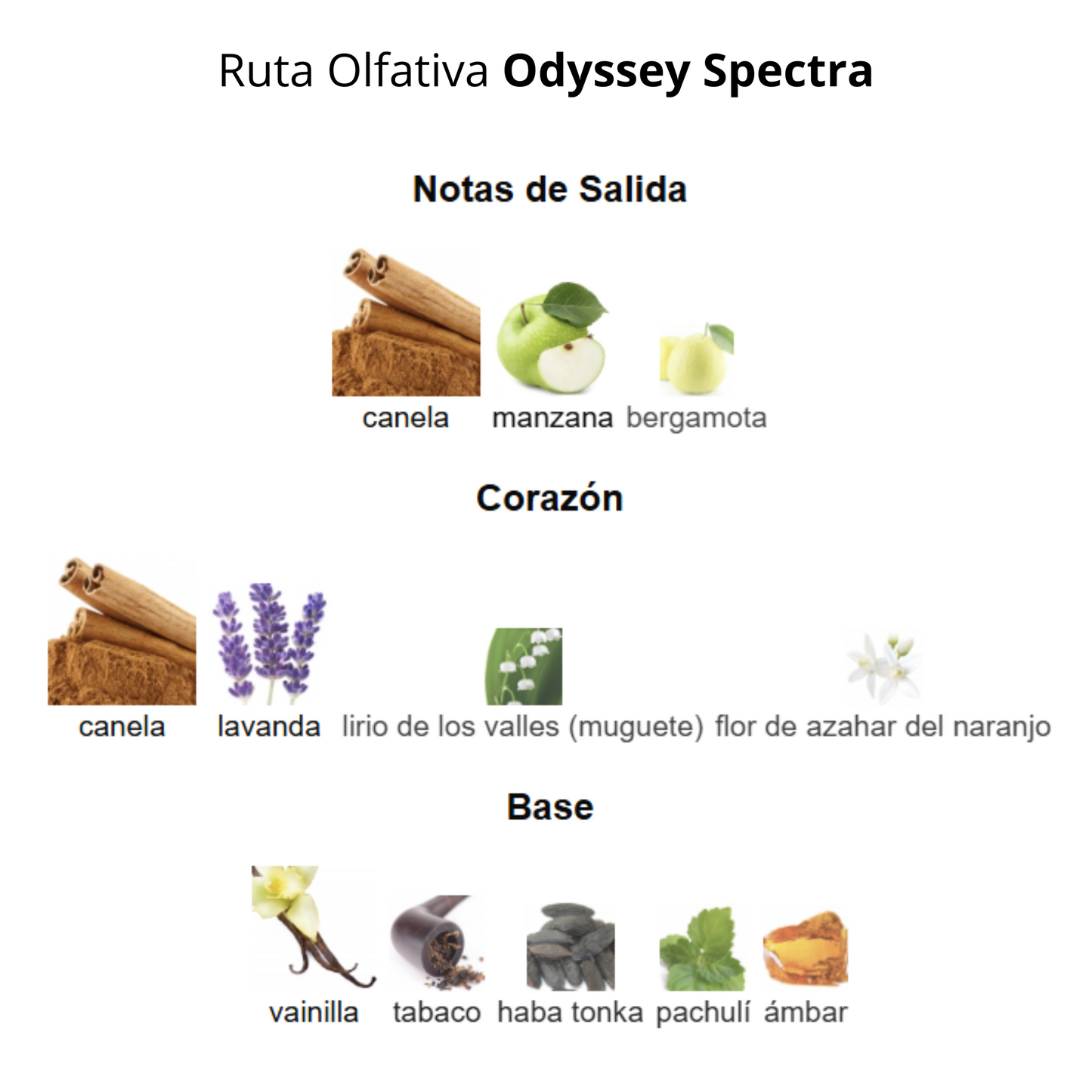 Odyssey Spectra Rainbow Edition 100 ml