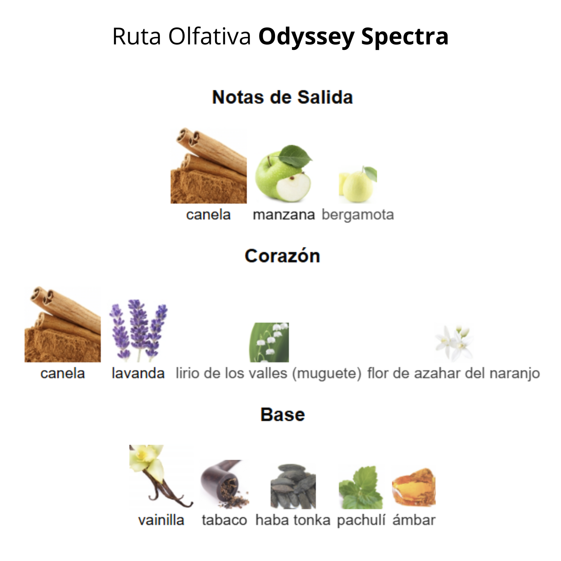 Odyssey Spectra Rainbow Edition 100 ml
