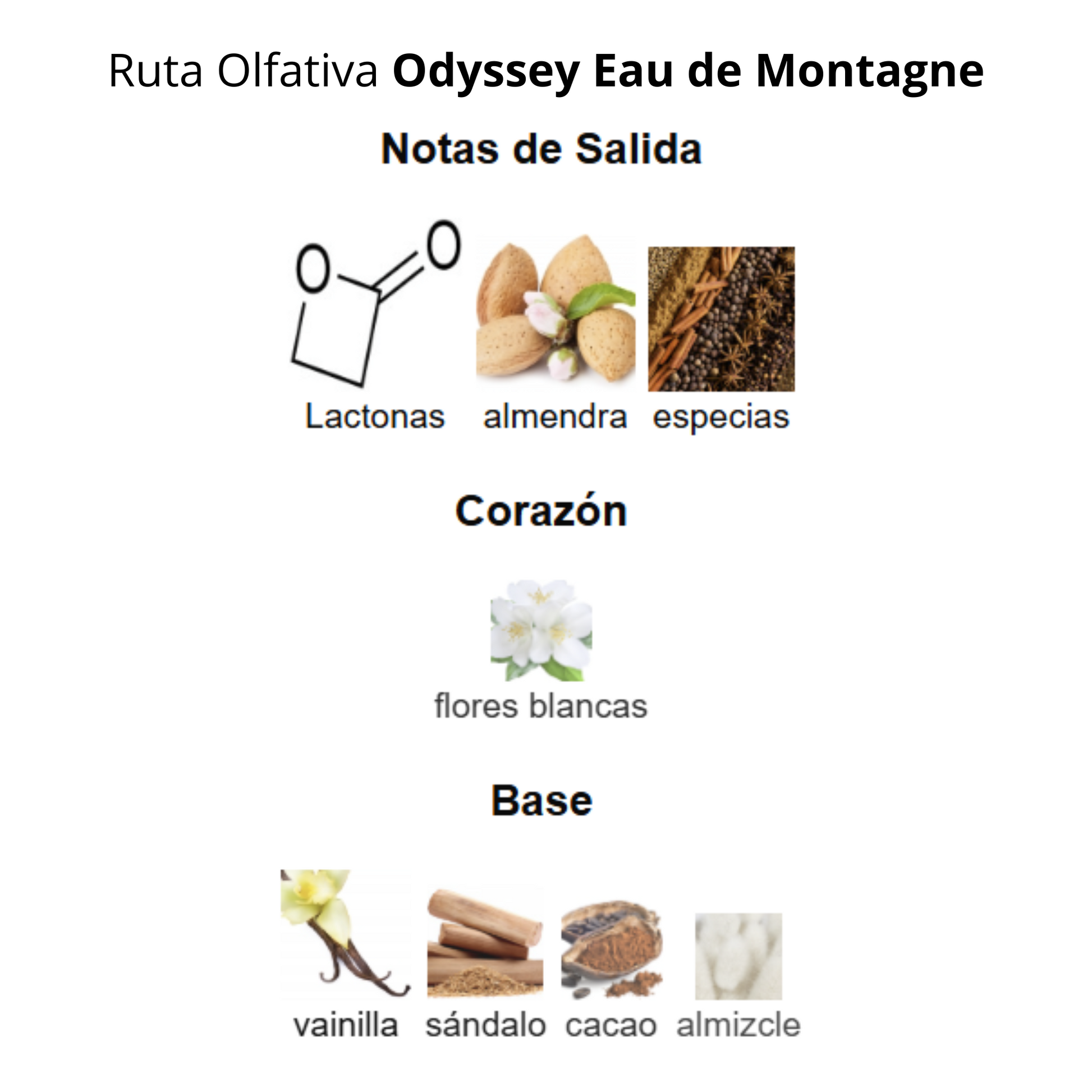 Odyssey Eau De Montagne Mountain Edition 100 ml