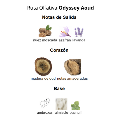 Odyssey Aoud 100 ml