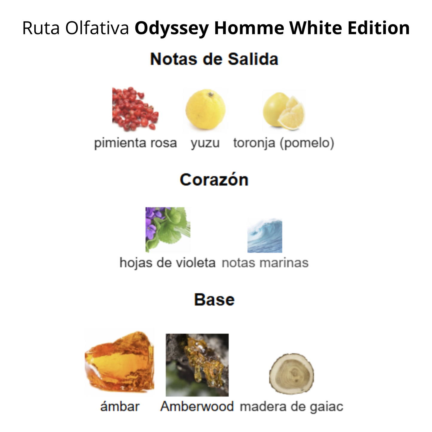 Odyssey Homme White Edition 100 ml