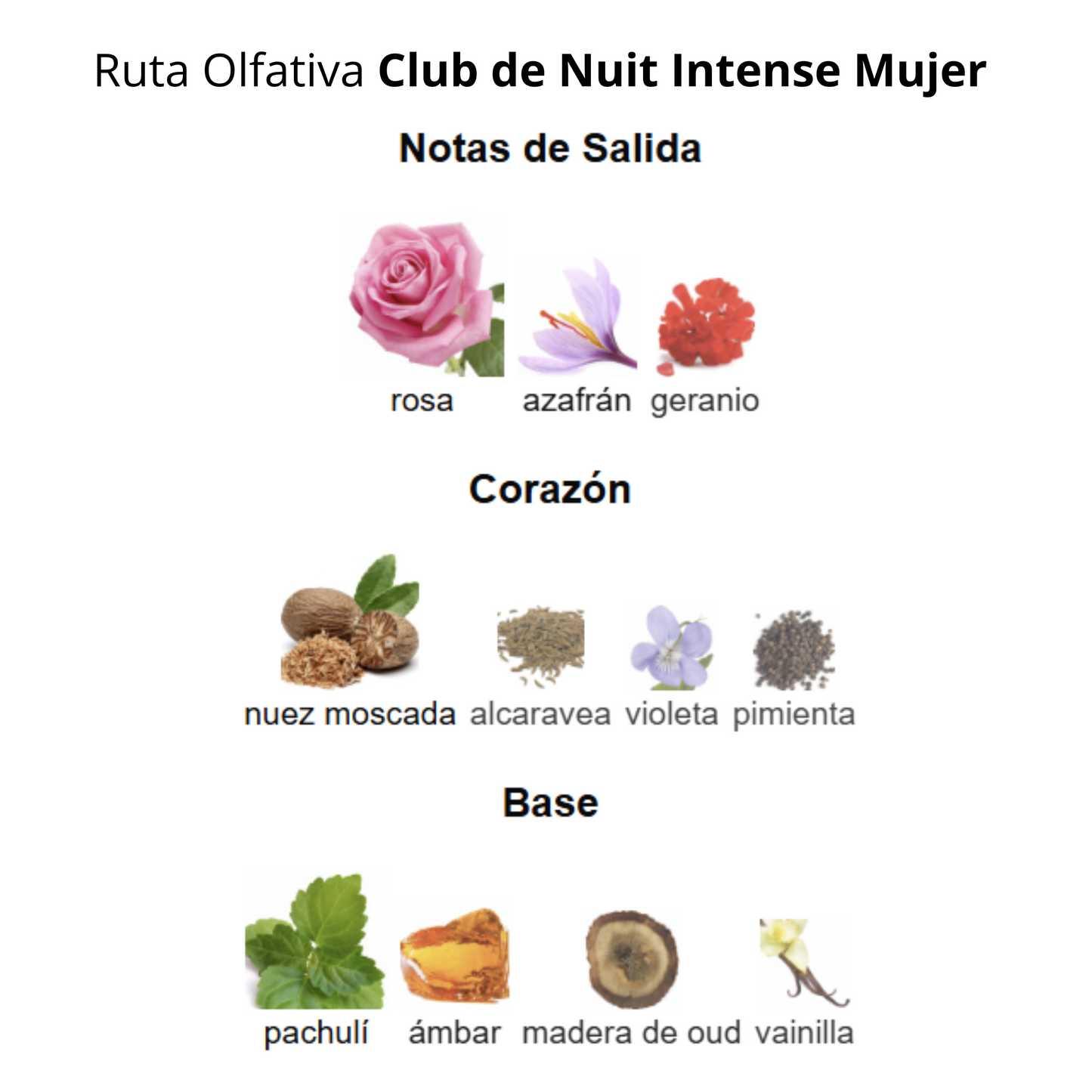 Club de Nuit Intense 105ml Mujer