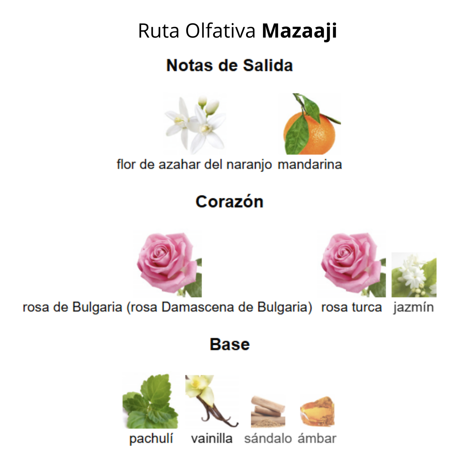 Mazaaji 100 ml