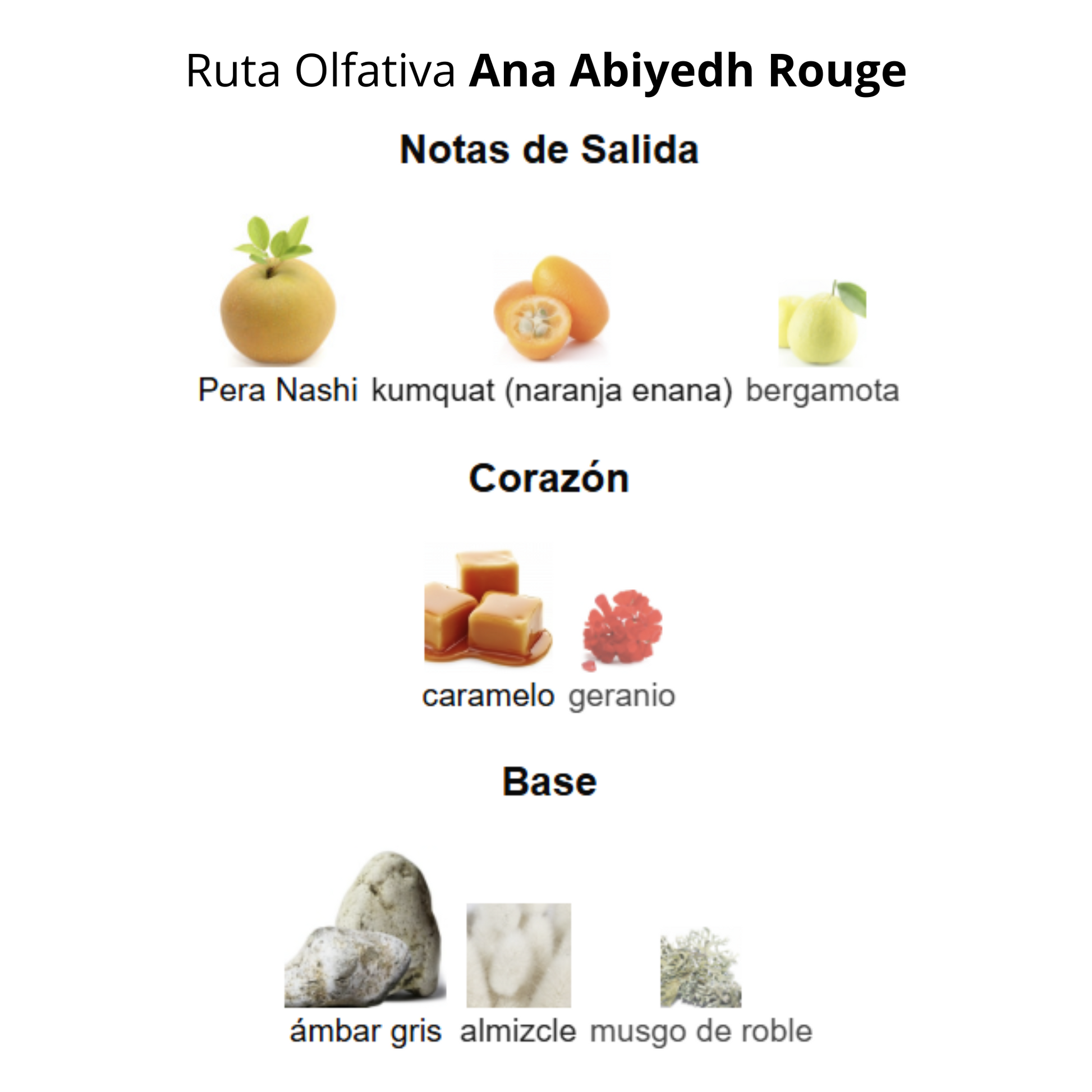 Ana Abiyedh Rouge 60ml Mujer