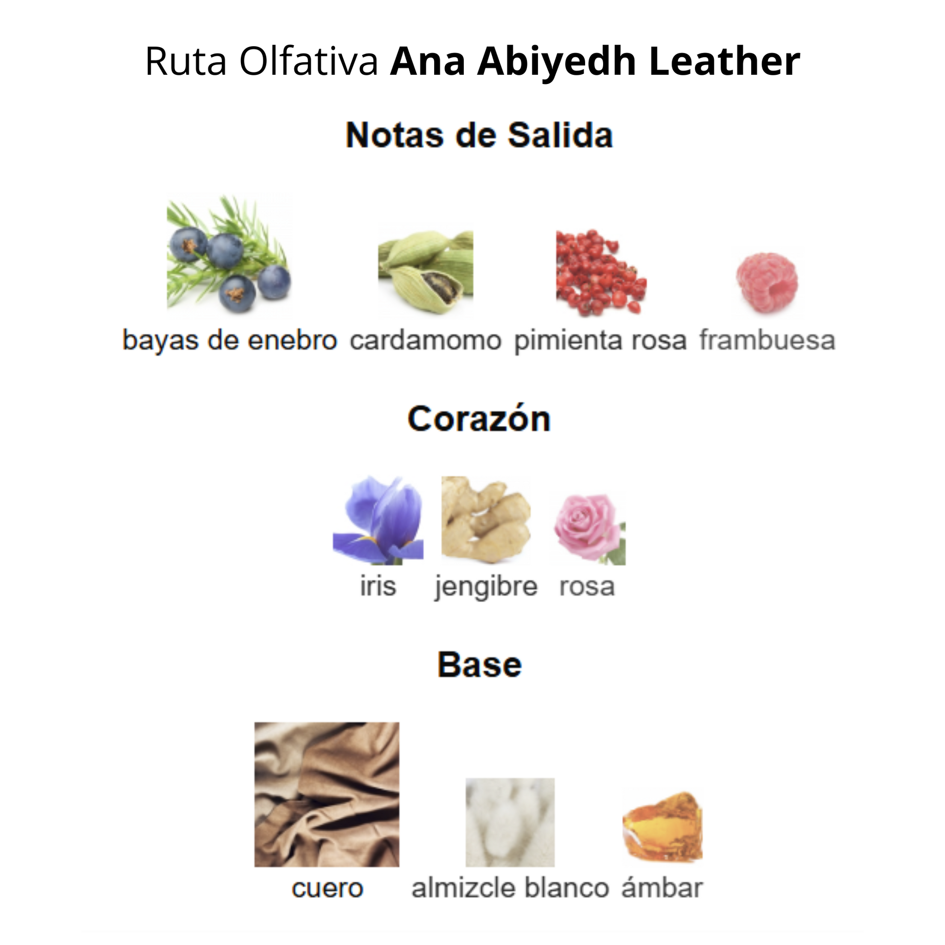 Ana Abiyedh Leather 60ml Mujer