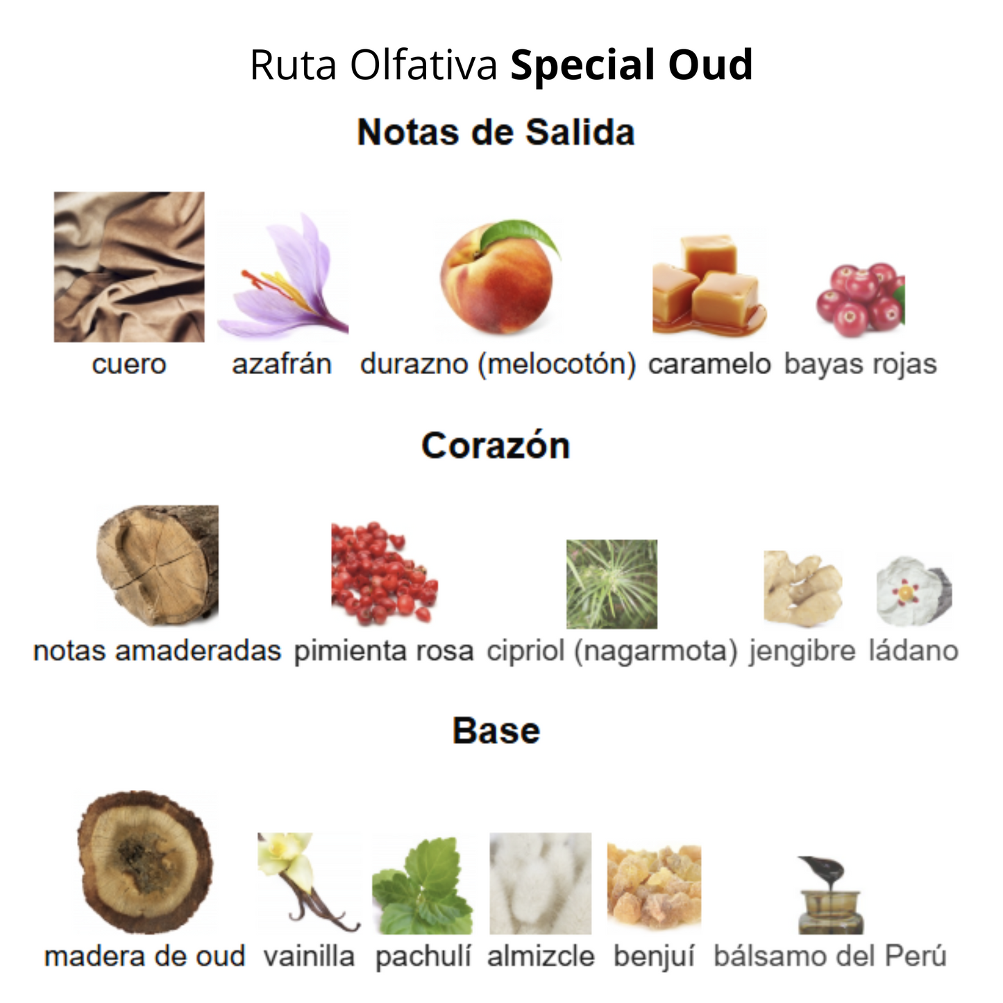 Special Oud 100ml Unisex
