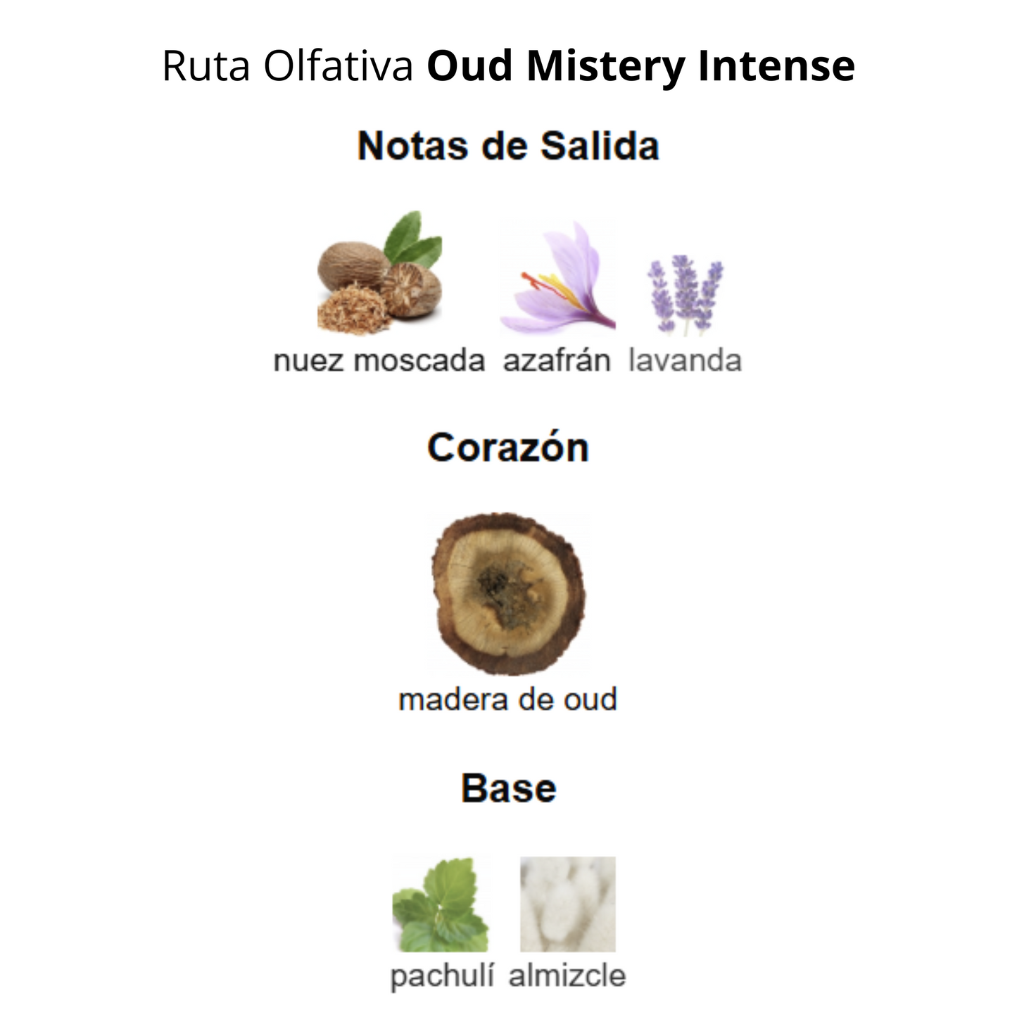 Oud Mystery Intense 100ml Unisex