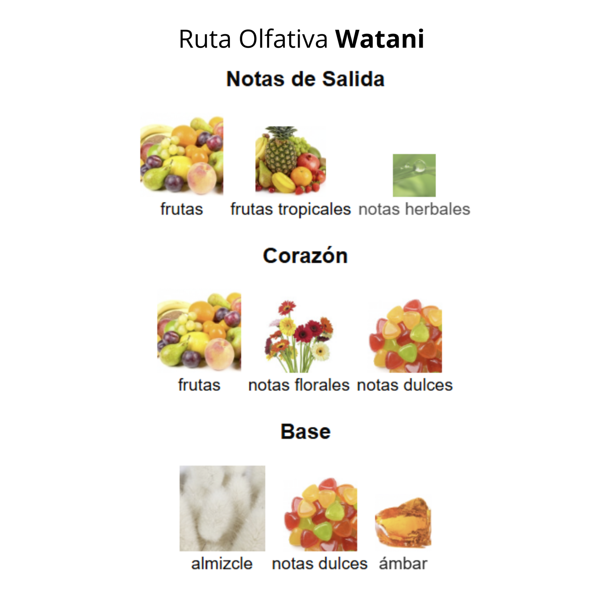 Watani 100ml Mujer