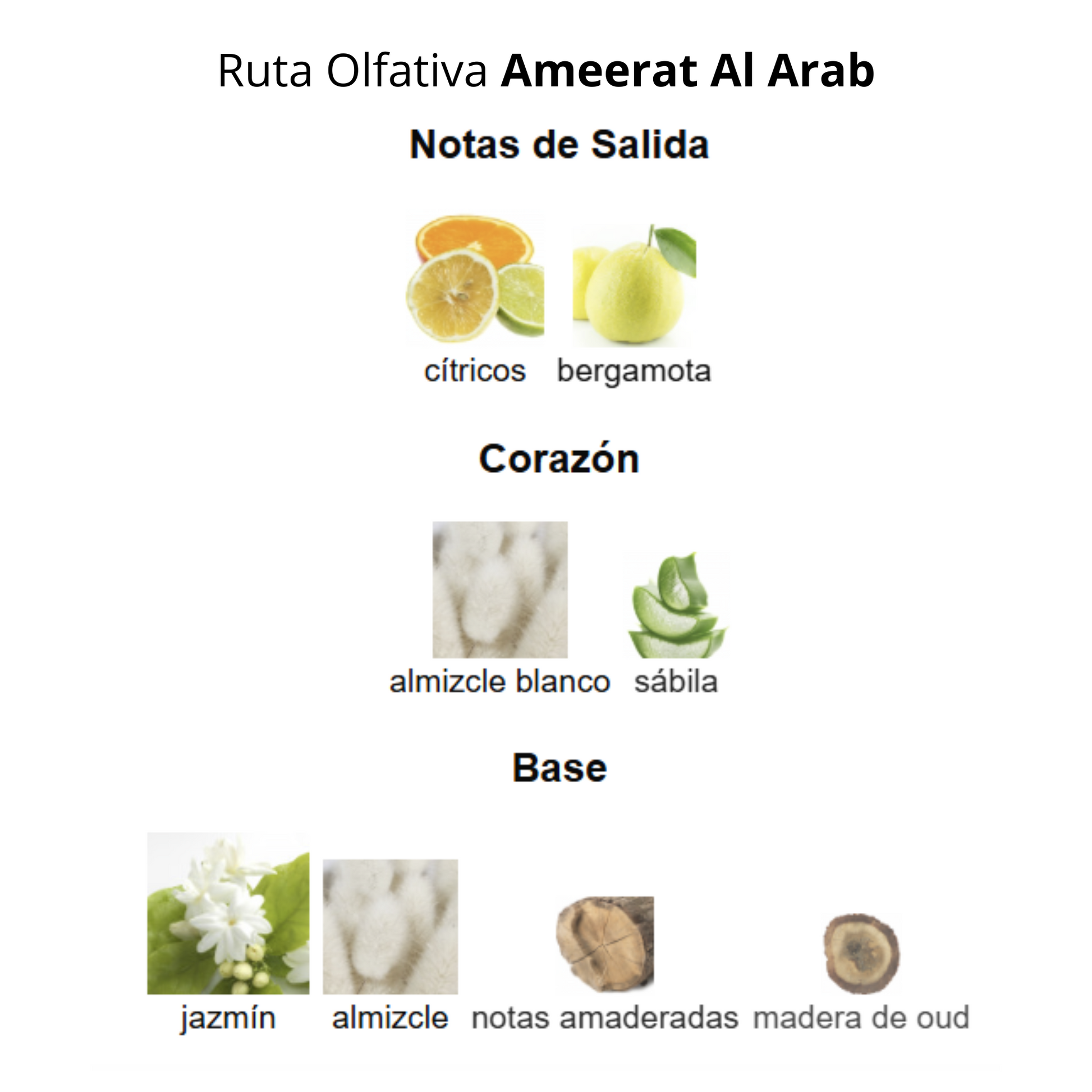 Ameerat Al Arab 100ml Unisex