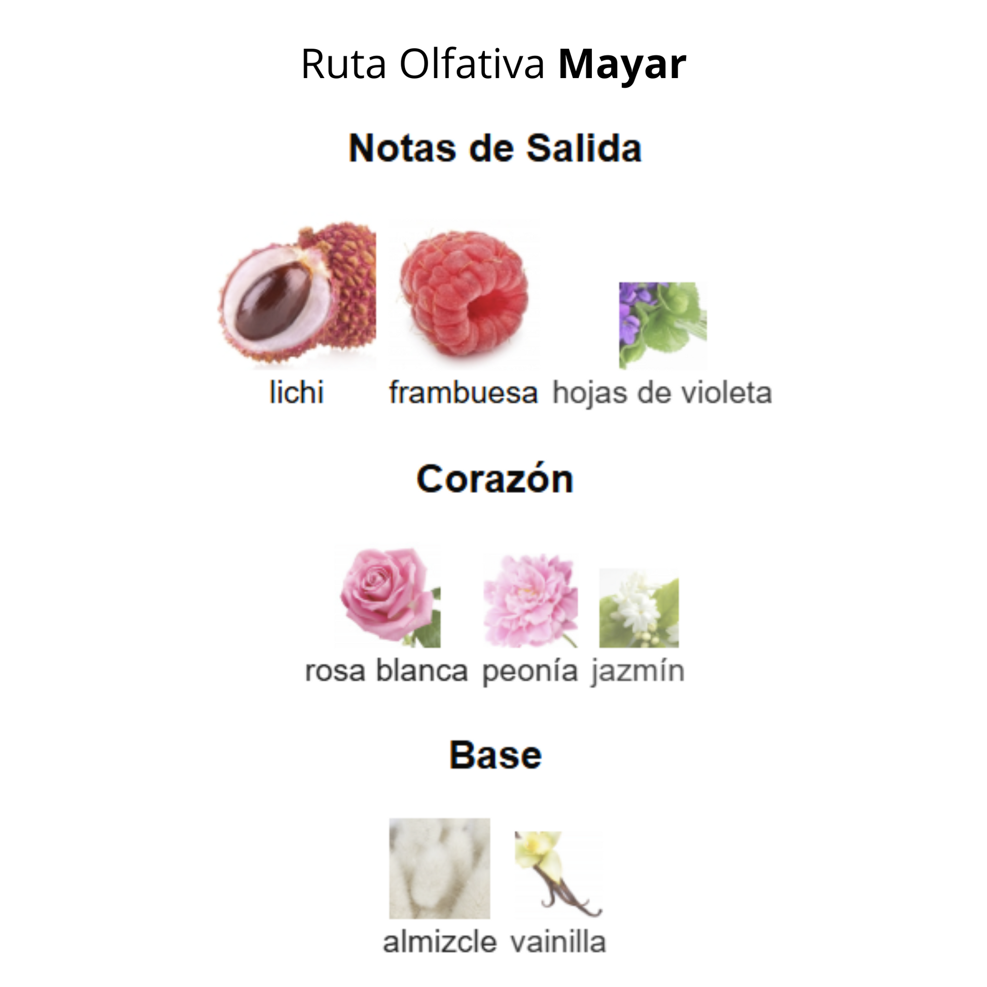Mayar 100ml Mujer