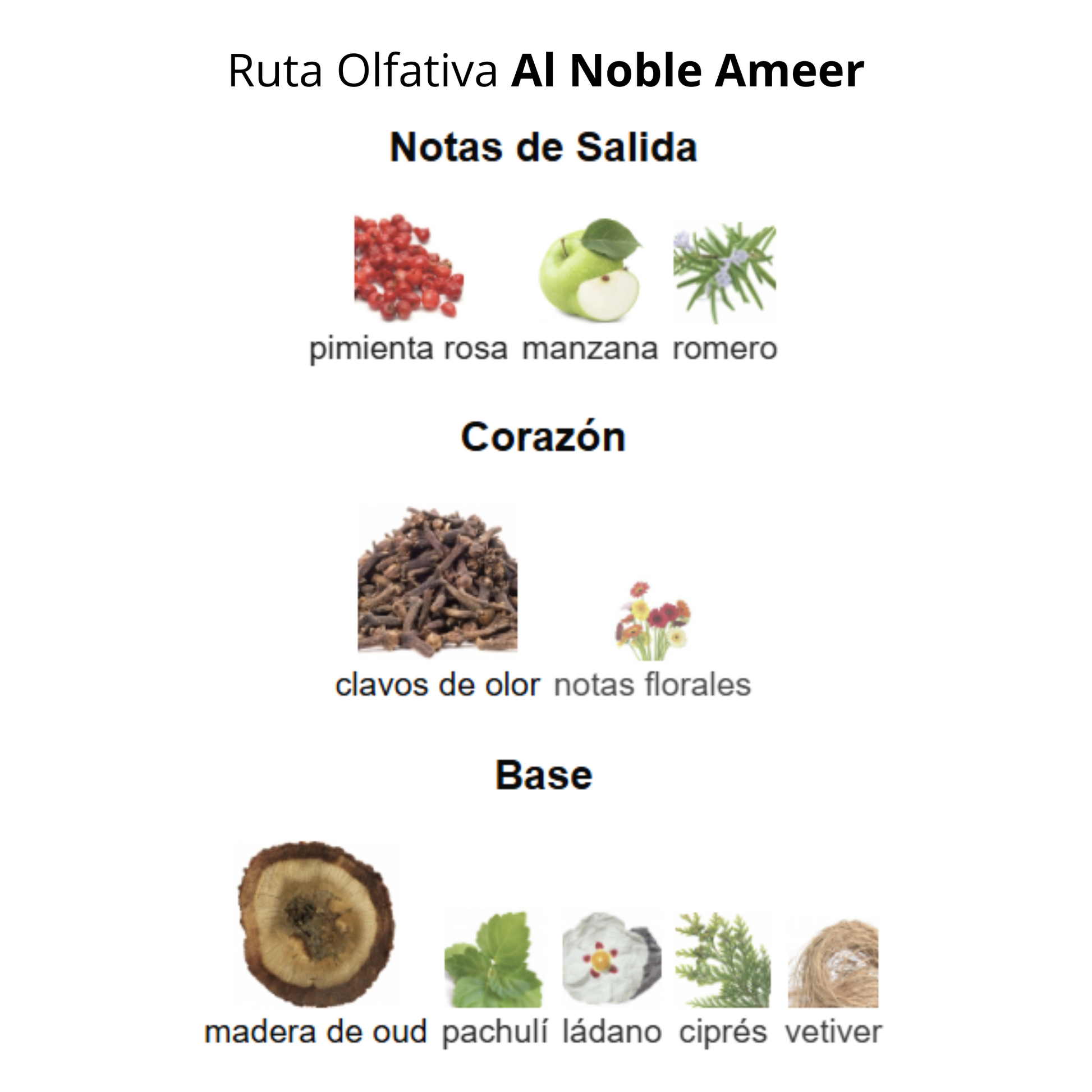 Al Noble Ameer 100ml Hombre