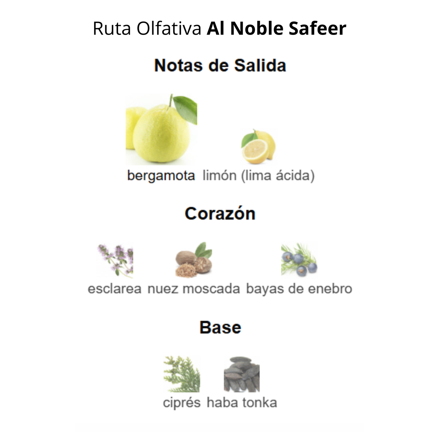 Al Noble Safeer 100ml Hombre