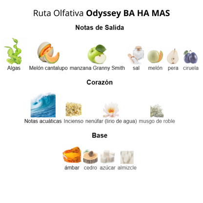 Odyssey BA HA MAS 100 ml Unisex