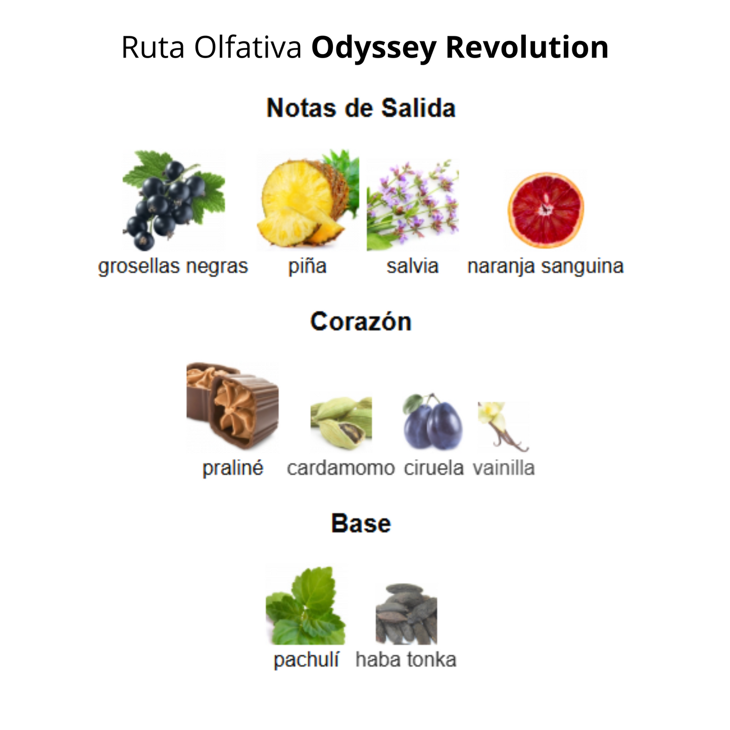 Odyssey Revolution 100 ml Unisex