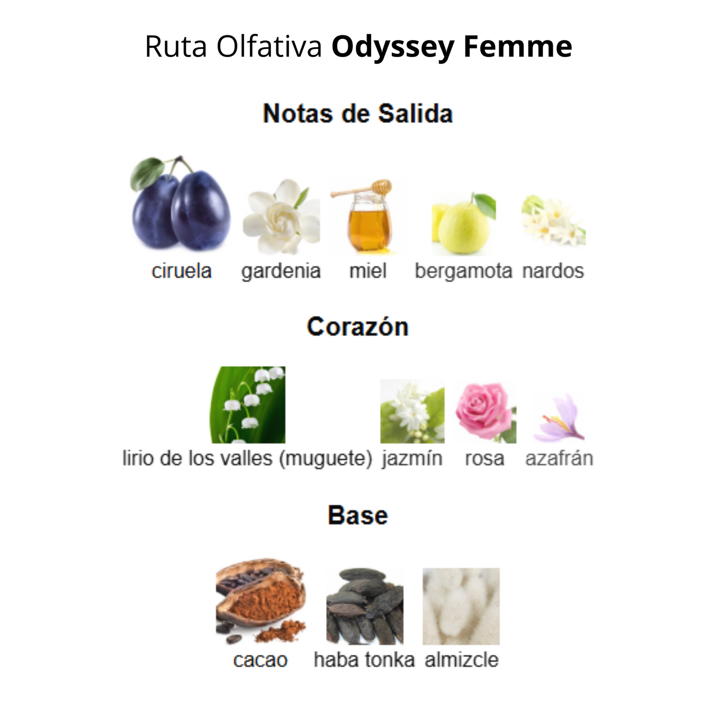 Odyssey Femme 80 ml Mujer
