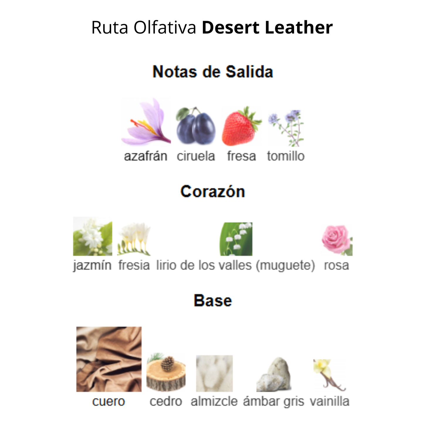 Desert Leather 100 ml Hombre