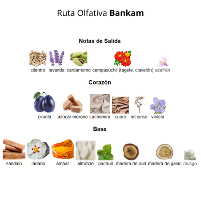 Bankam 100 ml Unisex