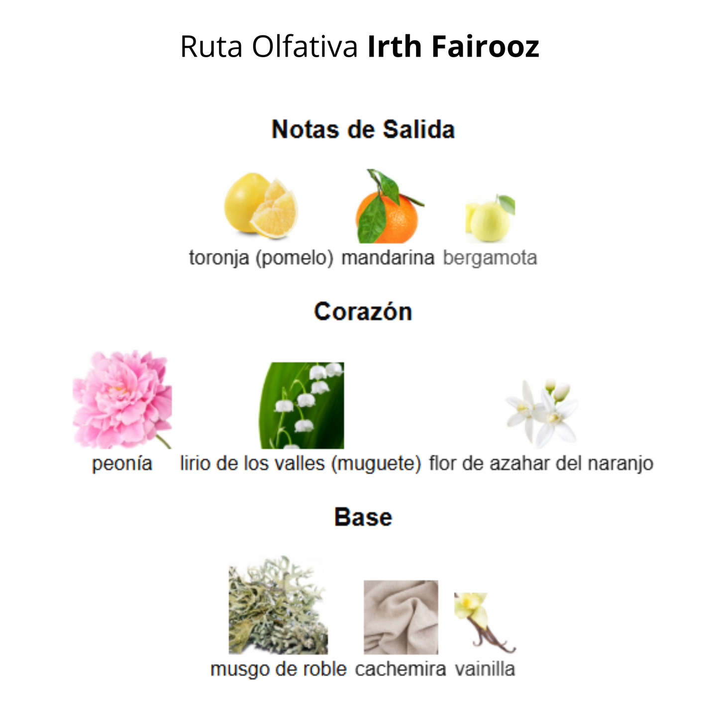 Irth Fairooz 100 ml Unisex